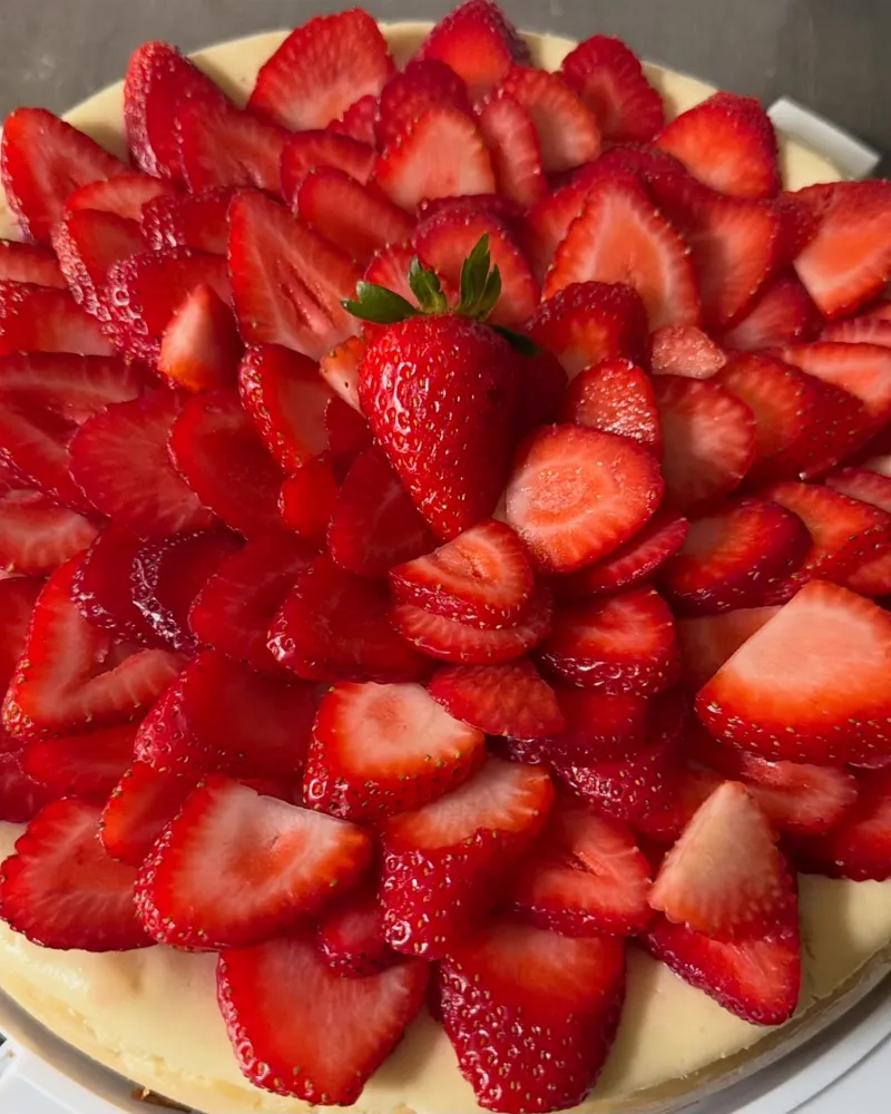 Cheesecake